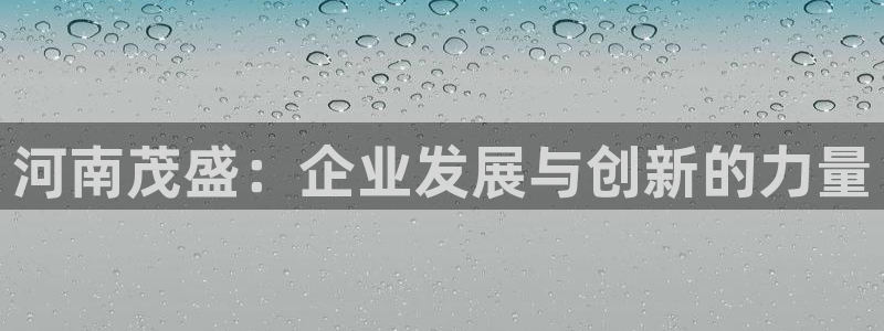 摩根娱乐官网下载
