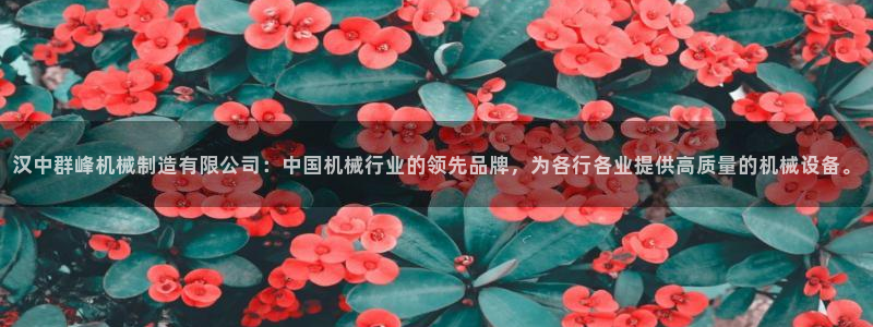 摩根娱乐宝的代理方式