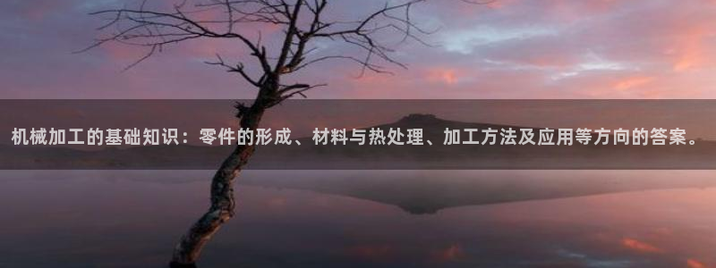 摩根娱乐宝k线图