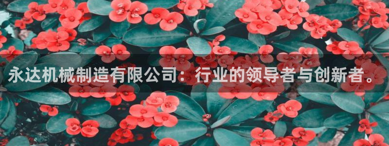 泉州摩根会娱乐张桂花