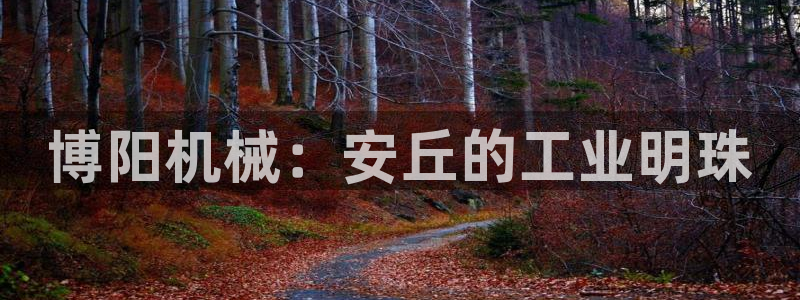 厦门摩根会娱乐