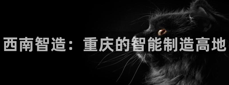 首页摩根娱乐平台