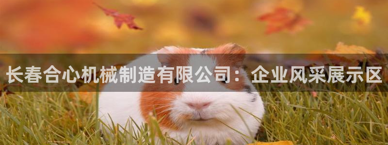 摩根娱乐宝怎么赚钱