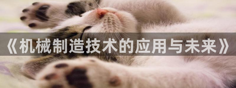 摩根娱乐这个平台怎么样