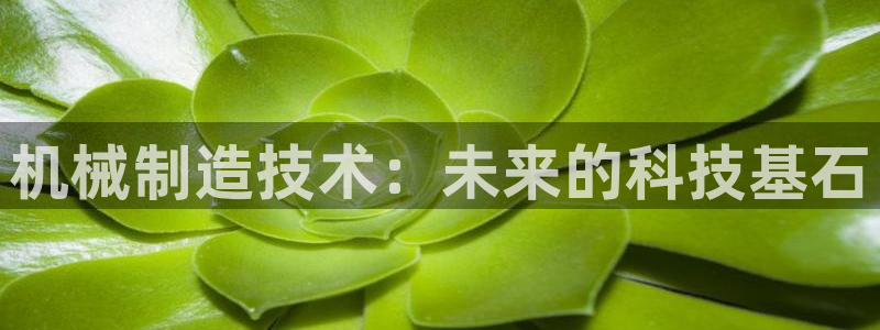 摩根娱乐宝的代理方式