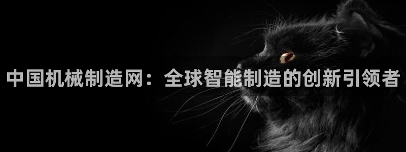 摩根国际娱乐宝官网