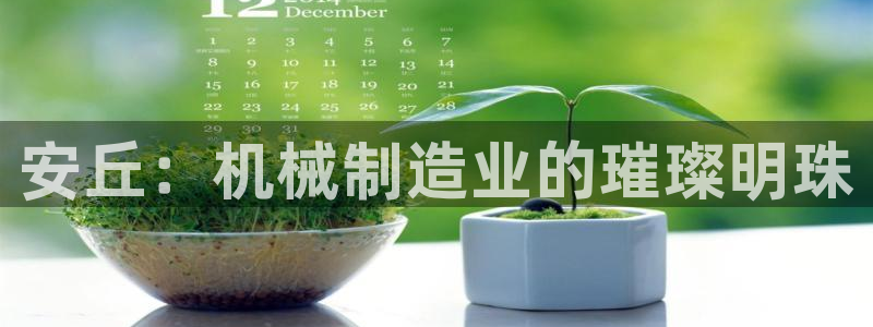 摩根娱乐宝k线图