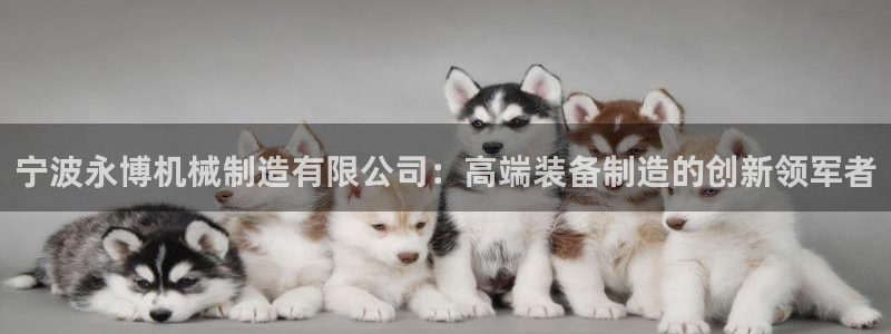 义乌摩根娱乐消费多少