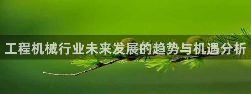 摩根在娱乐圈爆红