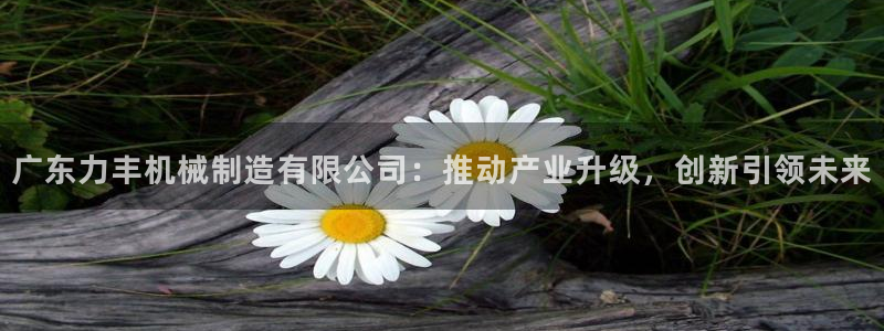 摩根娱乐宝登陆网址